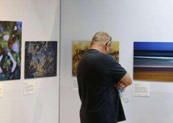 Un orso bianco che dorme sul ghiaccio icona foto naturalistiche