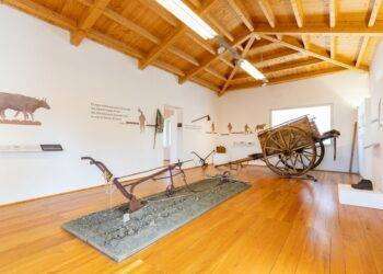 Arte, storia e cultura nel cuore della Marmilla