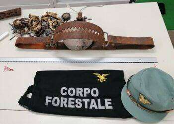 Parco di Gutturu Mannu, tagliola per catturare cervi e cinghiali