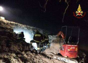 San Miniato, Bassotta resta incastrata in una tana per inseguire una volpe: salvati entrambi gli animali