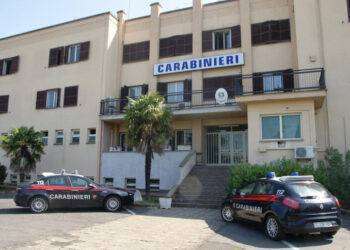 Aggredita dai cani della nonna, grave una bimba di 2 anni