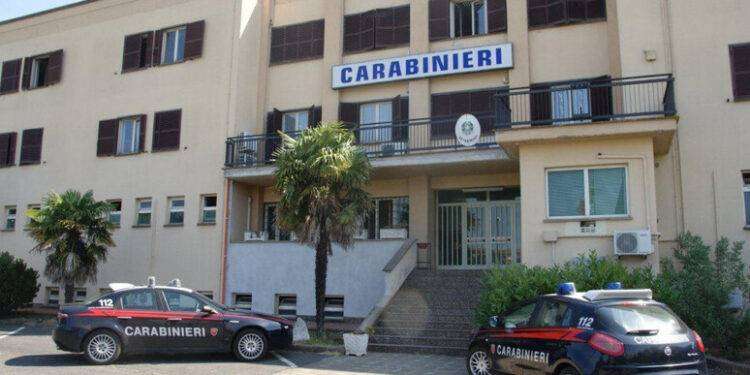 Aggredita dai cani della nonna, grave una bimba di 2 anni