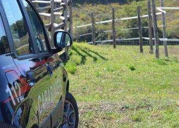 Riducono in schiavitù un servo pastore, arrestati a Villasor