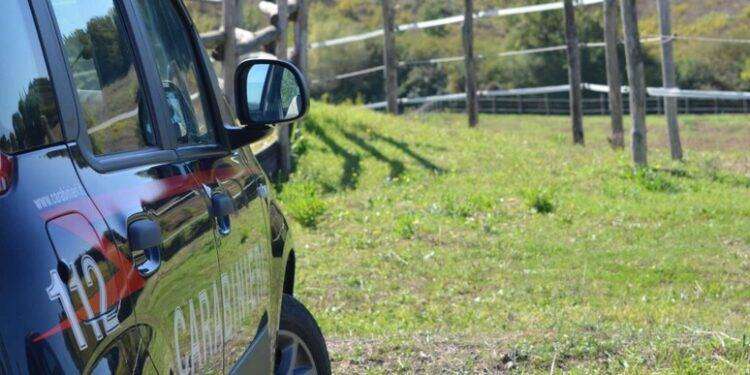 Riducono in schiavitù un servo pastore, arrestati a Villasor