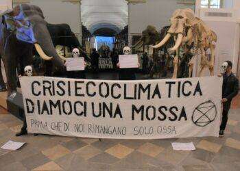 Blitz di Extinction Rebellion nel Museo di Scienze naturali di Torino
