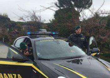 Finanzieri sequestrano 70 kg di marijuana nel porto di Olbia