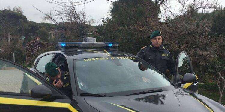 Finanzieri sequestrano 70 kg di marijuana nel porto di Olbia