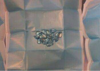 All’asta gioielli e preziosi sequestrati al porto di Olbia