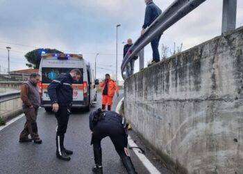 Studente di 17 anni muore investito a Sanremo, ferita la sorella: l’autista di un tir scappa e poi viene fermato