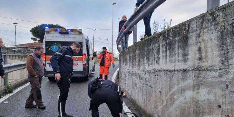 Studente di 17 anni muore investito a Sanremo, ferita la sorella: l’autista di un tir scappa e poi viene fermato