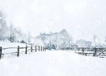 Meteo: colpo di scena, sta arrivando la nevicata più intensa dell’Inverno