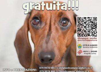 Alghero, campagna microchippatura gratuita