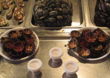 Sequestrati 11 kg di polpa di ricci in ristoranti e banchetti