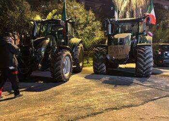 Agricoltori a Sanremo, ‘stiamo ancora trattando’