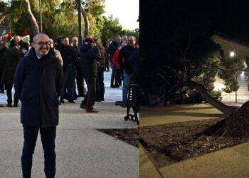 Cagliari, meno di due mesi fa l’inaugurazione: crolla albero a Buoncammino
