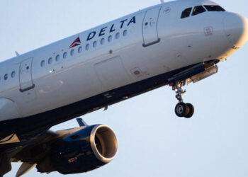 Vermi in cabina, aereo inverte la rotta