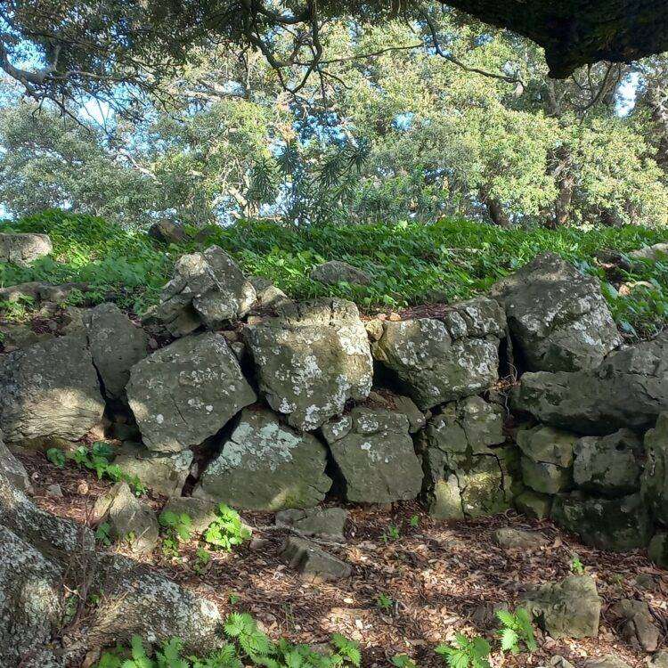 Speculazione energetica, il post su Esterzili