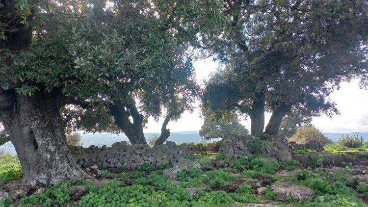 Speculazione energetica, il post su Esterzili