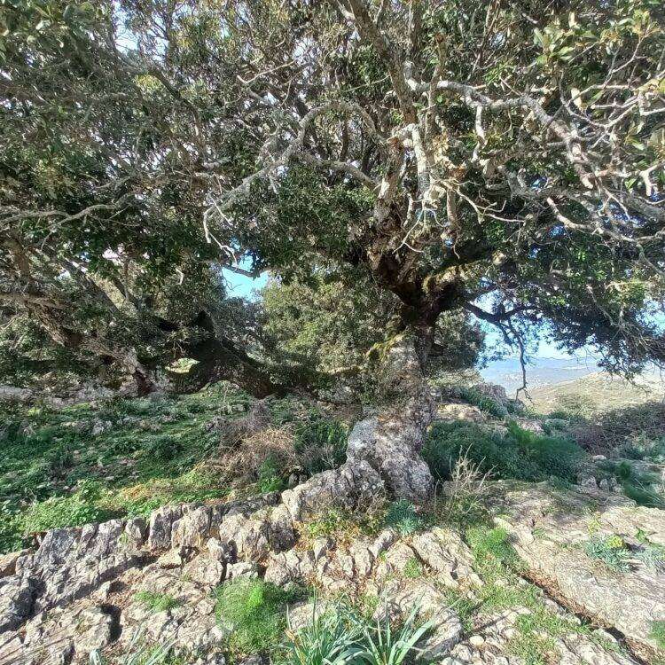 Speculazione energetica, il post su Esterzili