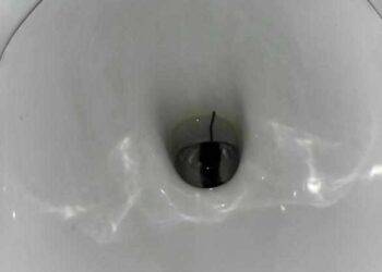 L’Istituto “Michele Giua” resterà chiusa dal 13 al 20 marzo 2024 per derattizzazione: avevano ragione gli studenti