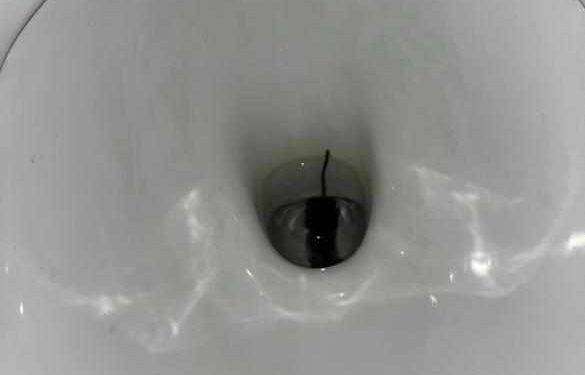 L’Istituto “Michele Giua” resterà chiusa dal 13 al 20 marzo 2024 per derattizzazione: avevano ragione gli studenti