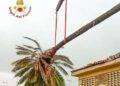 Maltempo: una palma cade su tetto di un oratorio nell’Oristanese