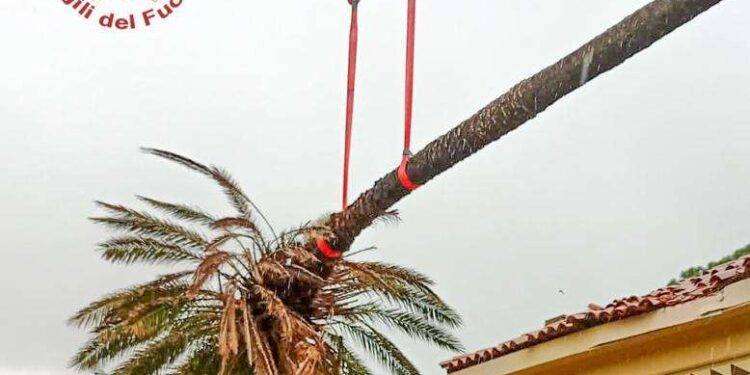 Maltempo: una palma cade su tetto di un oratorio nell’Oristanese