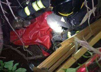 Il cane cade dentro una voragine, salvataggio a Bono