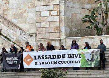Cagliari, gli animalisti al Bastione per Pasqua: “Lassaddu bivi”