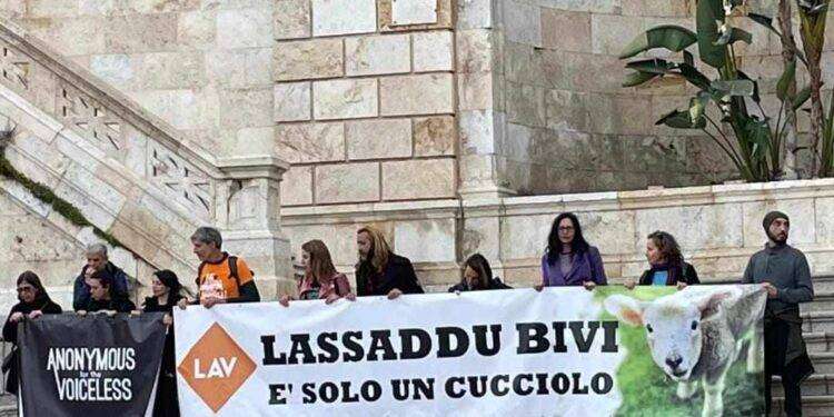 Cagliari, gli animalisti al Bastione per Pasqua: “Lassaddu bivi”