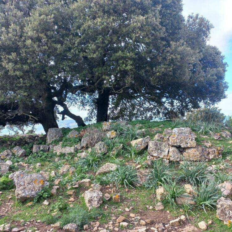 Speculazione energetica, il post su Esterzili