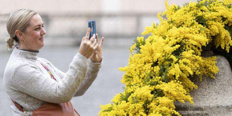 Per l’8 marzo musei gratuiti alle donne