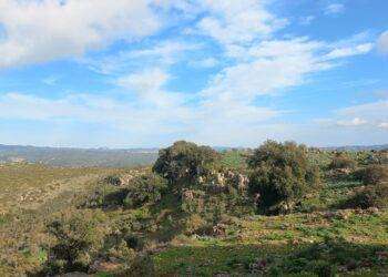 Speculazione energetica, il post su Esterzili