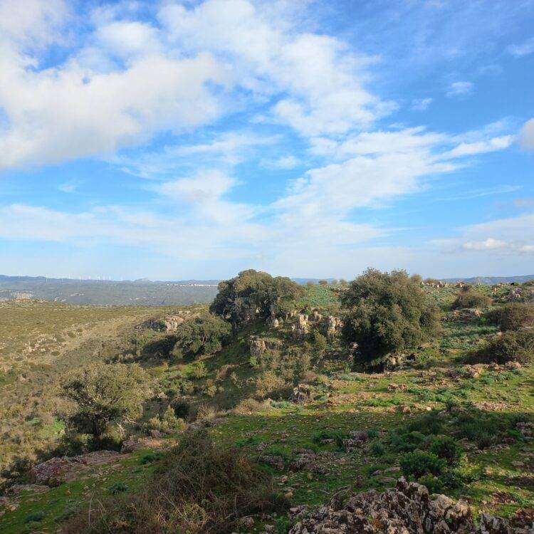 Speculazione energetica, il post su Esterzili