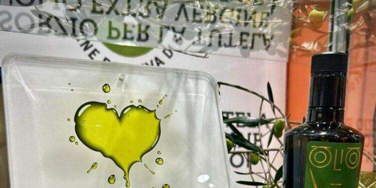 Accademia olearia porta la Sardegna al primo posto in Italia