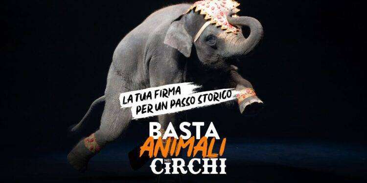Basta animali nei circhi: il 9 e 10 e il 16 e 17 marzo vieni in piazza in tutta Italia