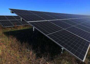 Csa, ‘200mila ettari in pericolo per far posto al fotovoltaico’