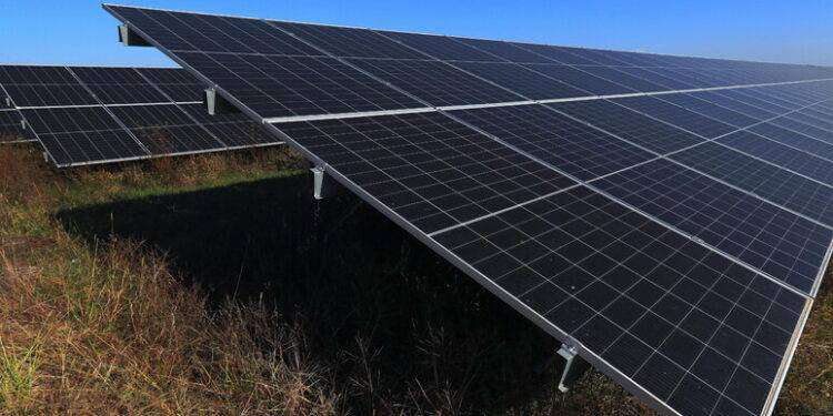 Csa, ‘200mila ettari in pericolo per far posto al fotovoltaico’