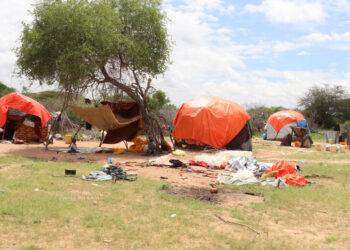 Fao, in Medio Oriente 60 milioni persone denutrite