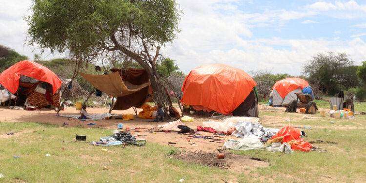 Fao, in Medio Oriente 60 milioni persone denutrite