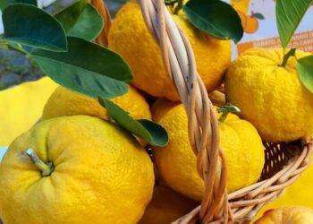 Filindeu, il piatto tipico sardo alla corte di Parigi