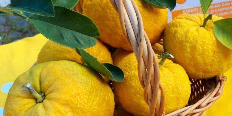 Filindeu, il piatto tipico sardo alla corte di Parigi