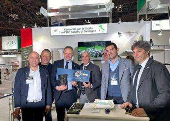 Il mercato giapponese apre le porte all’agnello sardo Igp