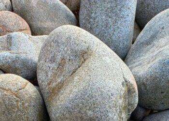 Intrappolata dal nylon, tartaruga salvata nel sud Sardegna