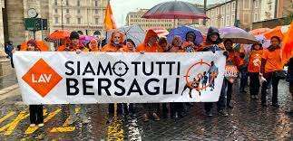 Oristano, piano di abbattimento dei cinghiali: la denuncia della Lav