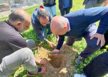 Mafia, al liceo Fois di Cagliari il giardino della legalità