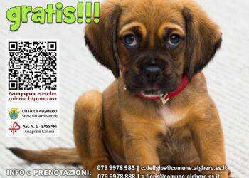 Alghero, campagna per la microchippatura gratuita dei cani