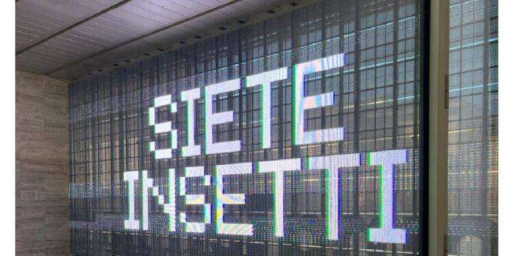 “Siete insetti”, le scritte comparsa a Roma e Milano: nessun attacco hacker