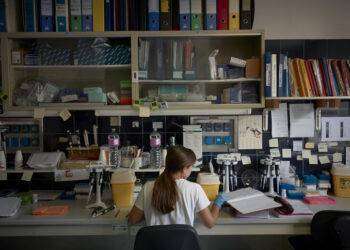 Testamento solidale, ‘le donne più inclini alla generosità’