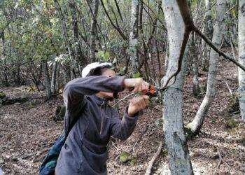 Sardegna, concluso campo antibracconaggio